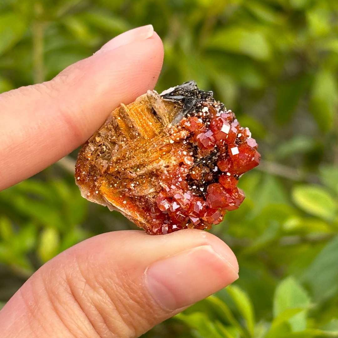 Independence, Souls Purpose, Energetic Alignment Golden Baryte popular / Barite Cluster with Vanadinite