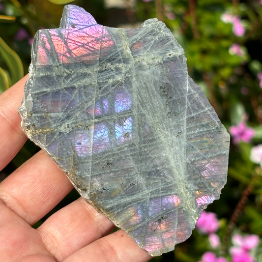 Labradorite Purple Specimen