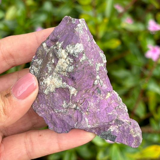 Purpurite Natural Specimen