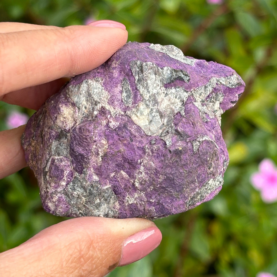 Purpurite Natural Specimen