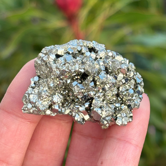 Pyrite A Grade Cluster