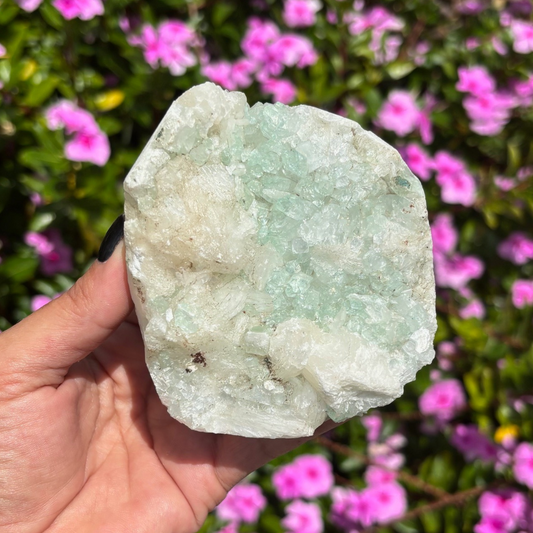 Green Apophyllite Cluster