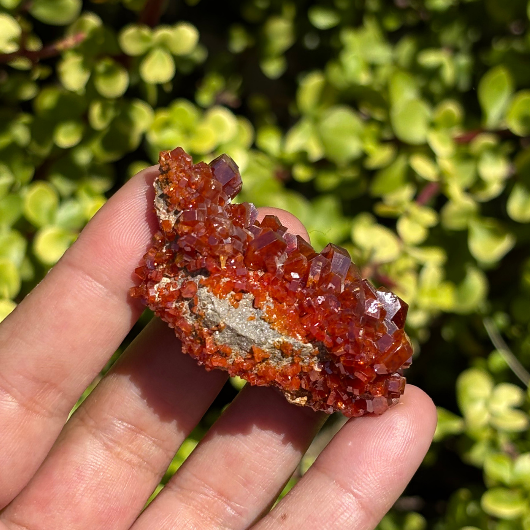 Vanadinite on Baryte Specimen - AA Grade