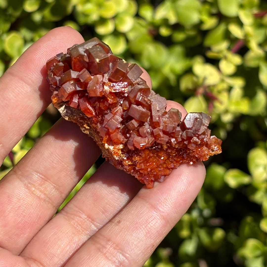 Vanadinite on Baryte Specimen - AA Grade