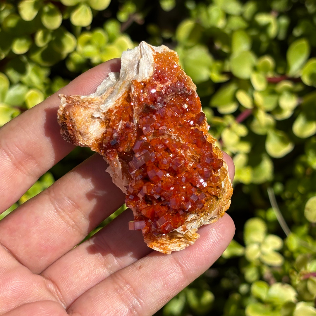 Vanadinite on Baryte Specimen - AA Grade