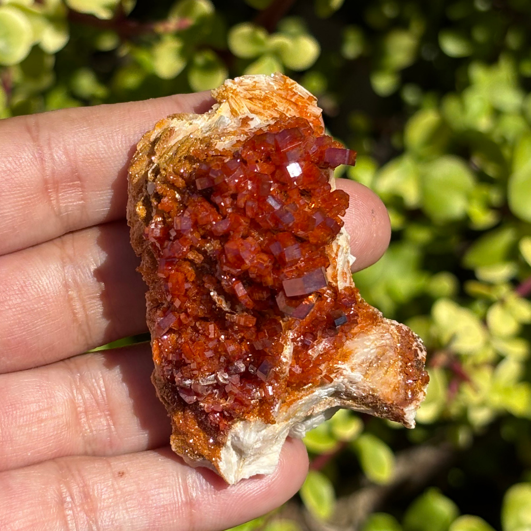 Vanadinite on Baryte Specimen - AA Grade