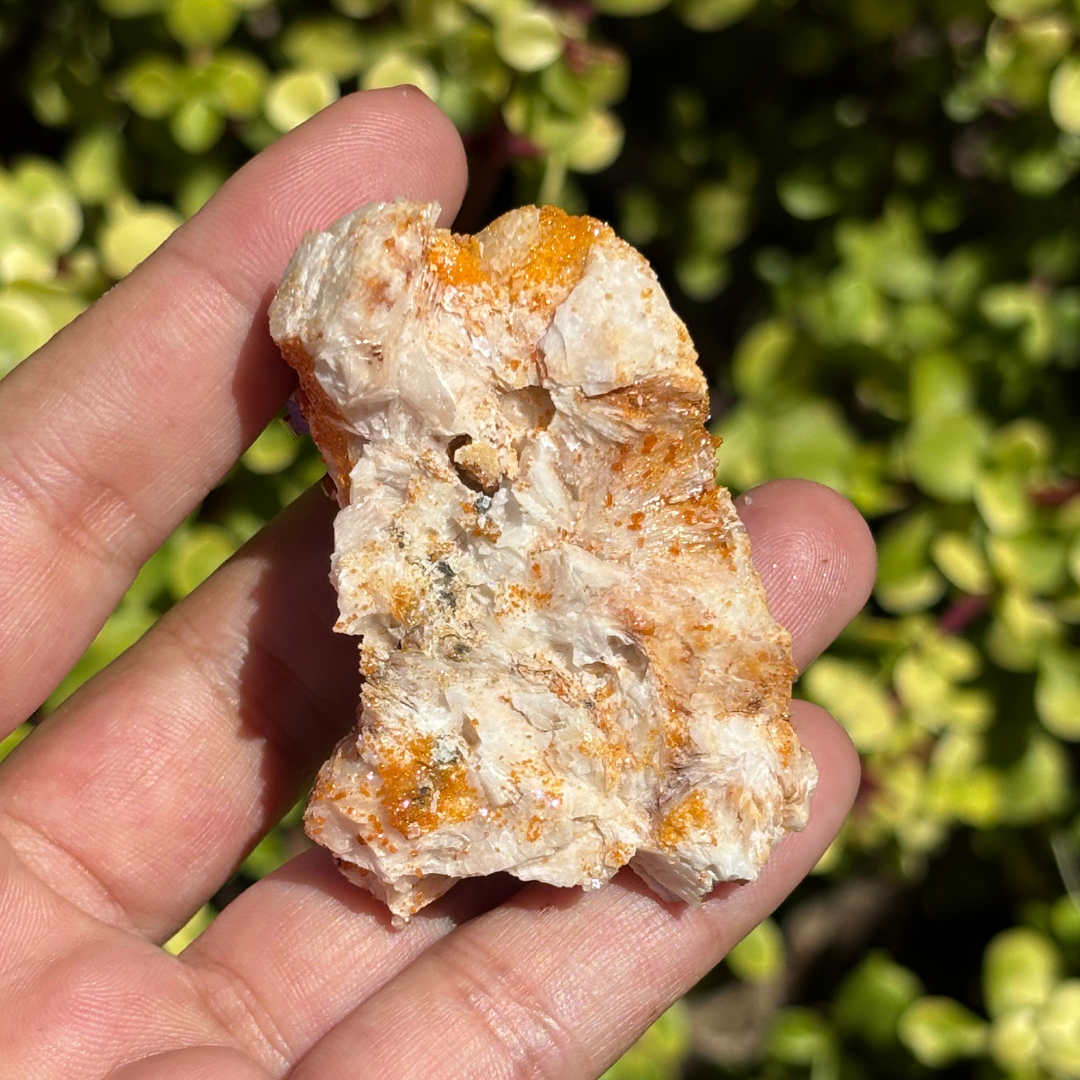 Vanadinite on Baryte Specimen - AA Grade