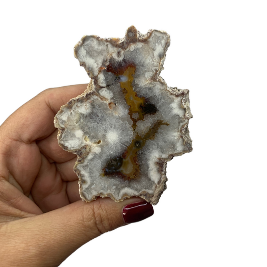 Natural Agate Slice - Argentina