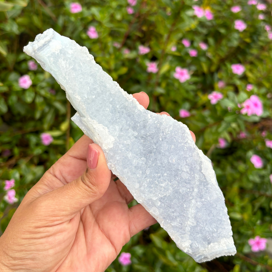 Blue Lace Agate Etched Cluster Specimen