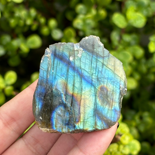 Labradorite Half Polished Specimen