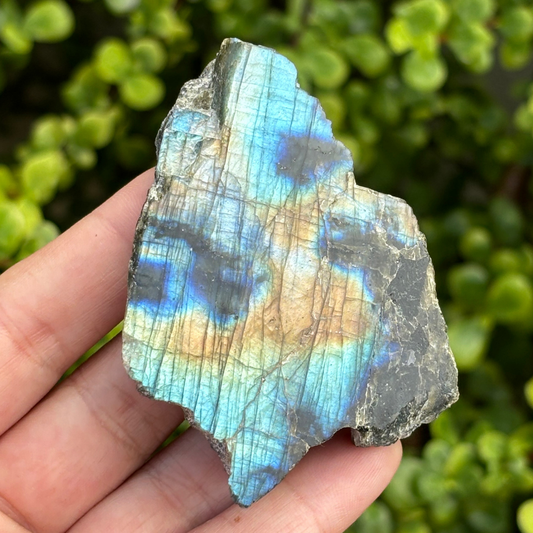 Labradorite Half Polished Specimen