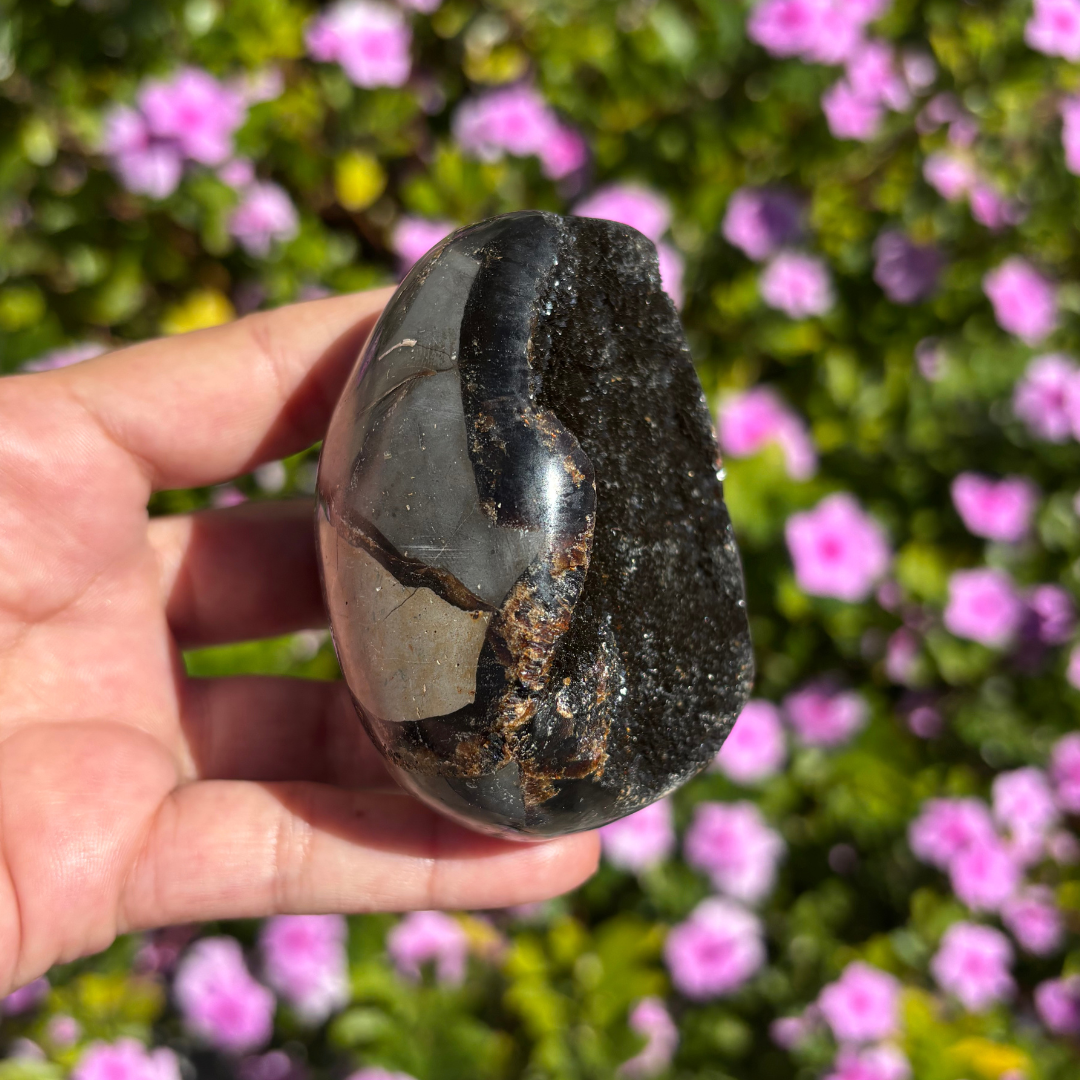 Septarian Geode (Dragon Egg)