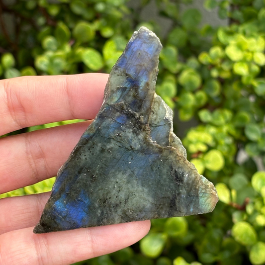 Labradorite Half Polished Specimen