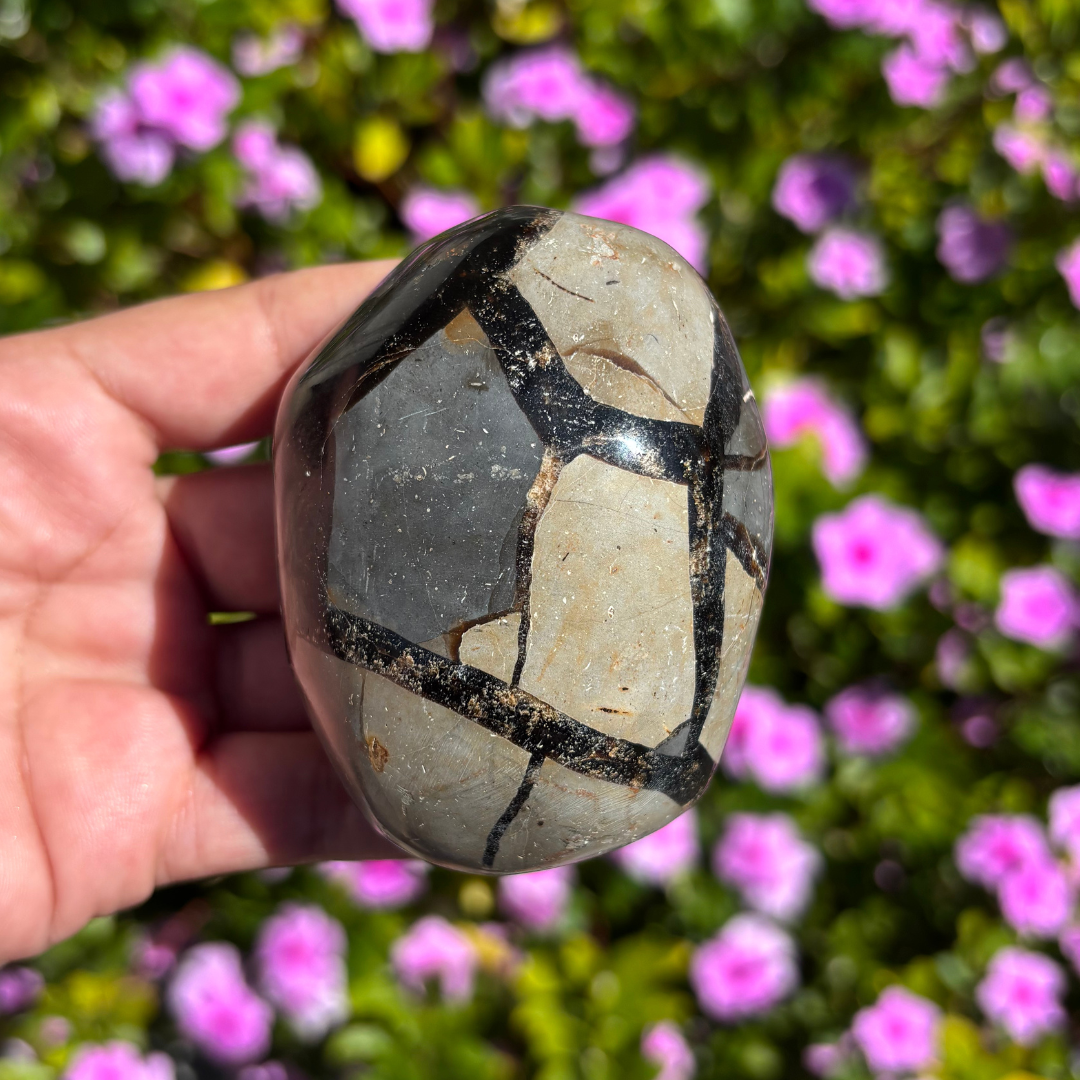 Septarian Geode (Dragon Egg)