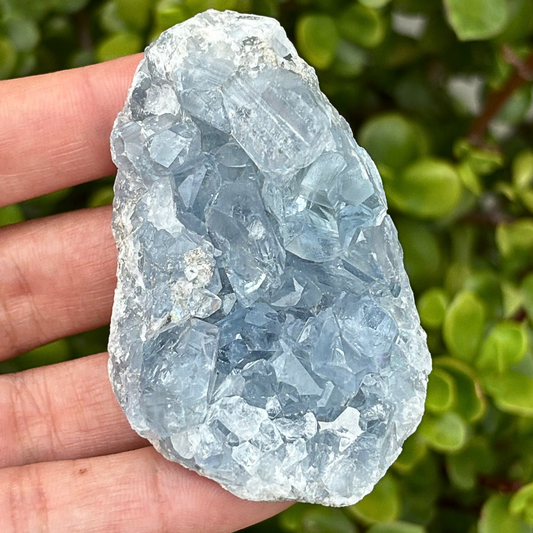 Celestite (aka Celestine) Cluster