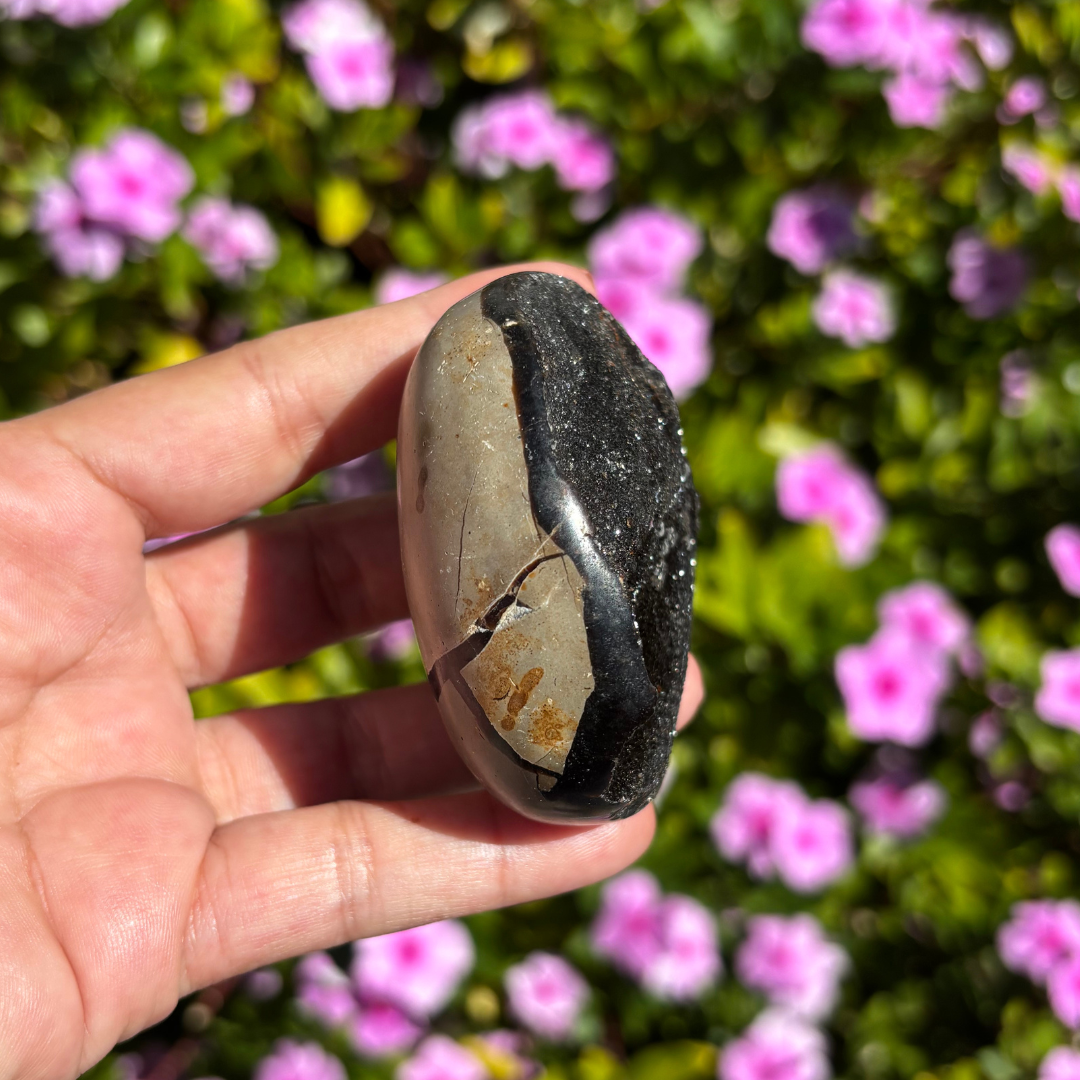 Septarian Geode (Dragon Egg)