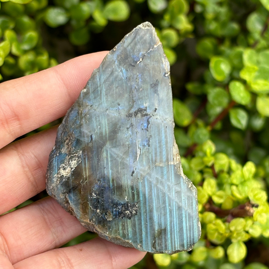 Labradorite Half Polished Specimen