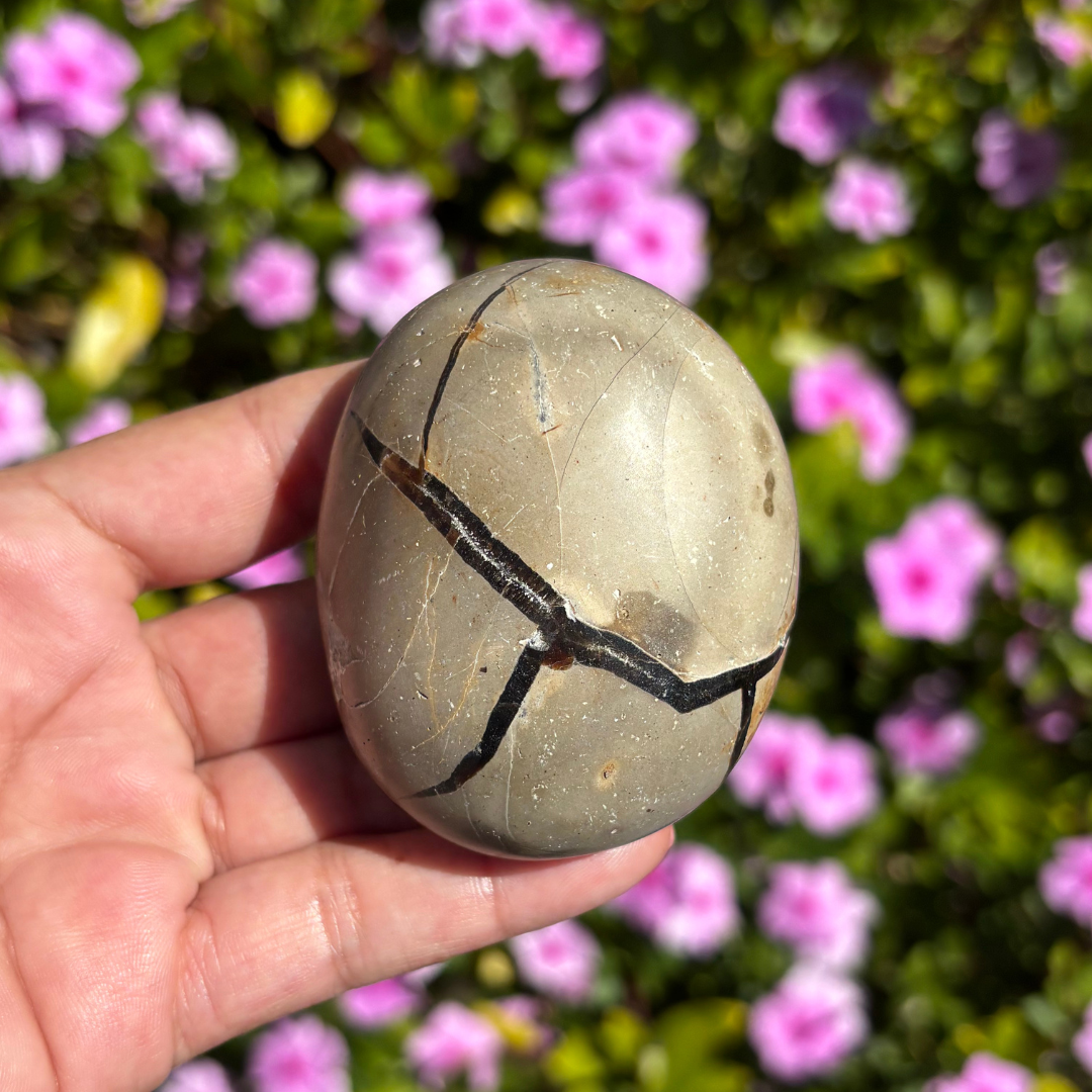 Septarian Geode (Dragon Egg)