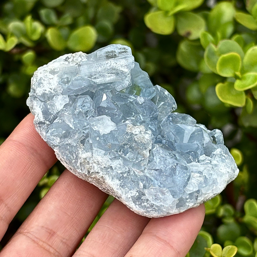 Celestite (aka Celestine) Cluster