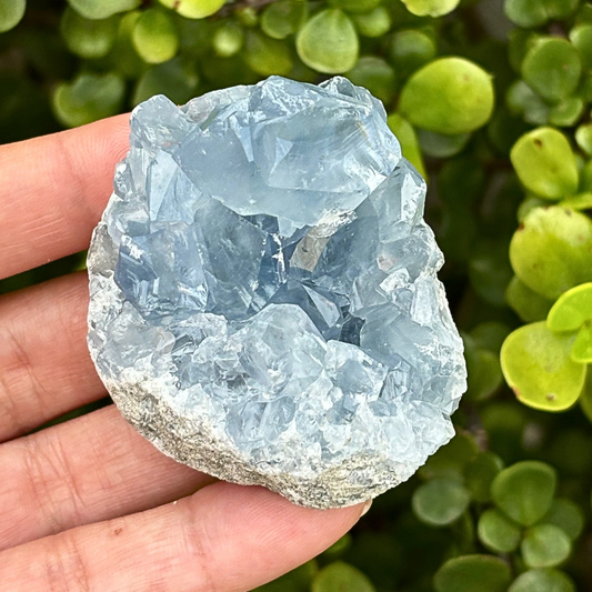 Celestite (aka Celestine) Cluster