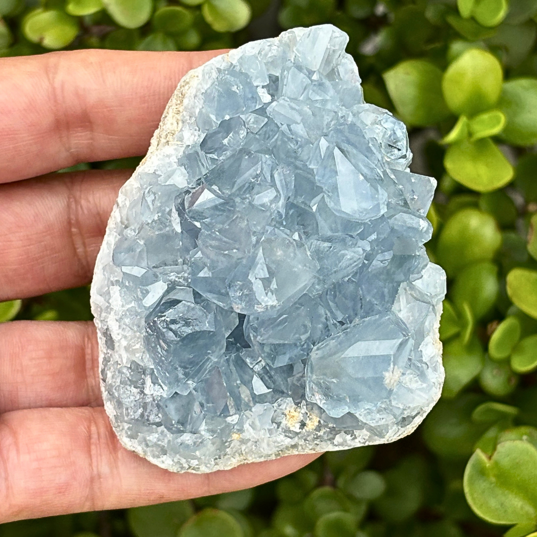 Celestite (aka Celestine) Cluster