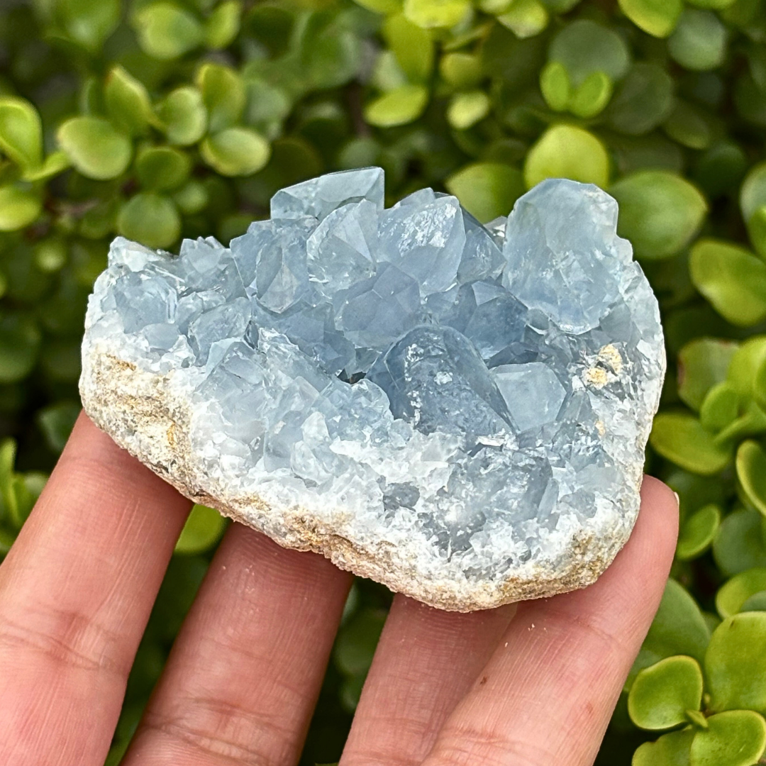 Celestite (aka Celestine) Cluster