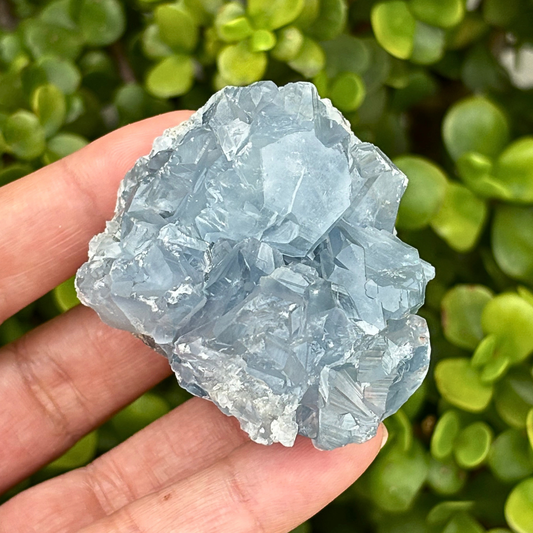 Celestite (aka Celestine) Cluster