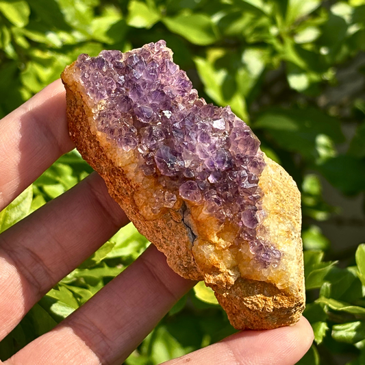 Amethyst Cluster - RSA (A Grade)