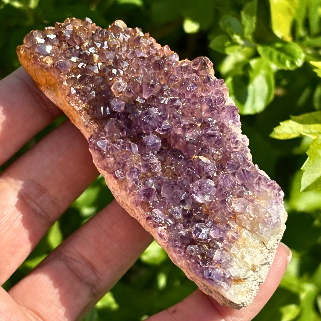 Amethyst Cluster - RSA (A Grade)