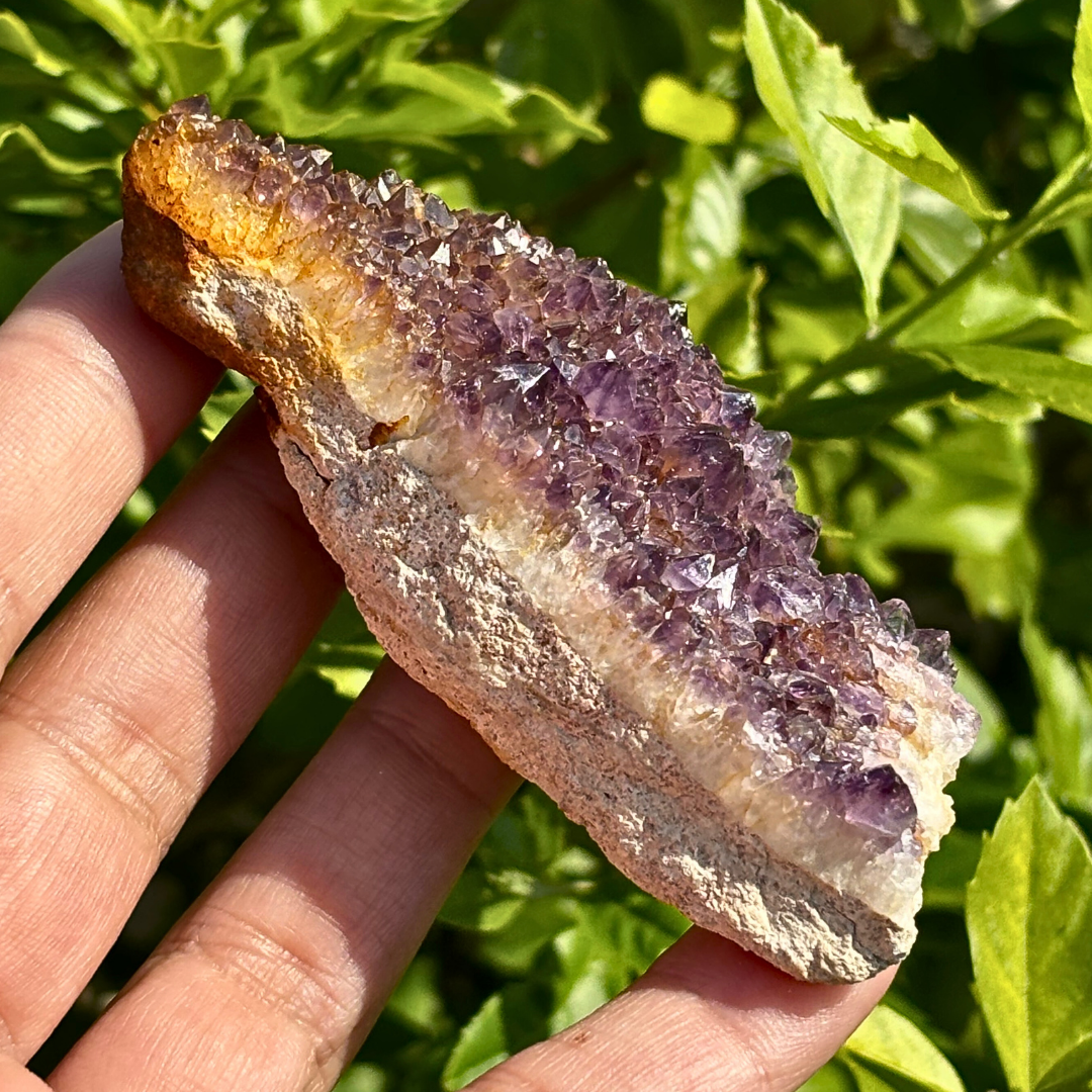 Amethyst Cluster - RSA (A Grade)