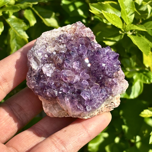 Amethyst Cluster - RSA (A Grade)