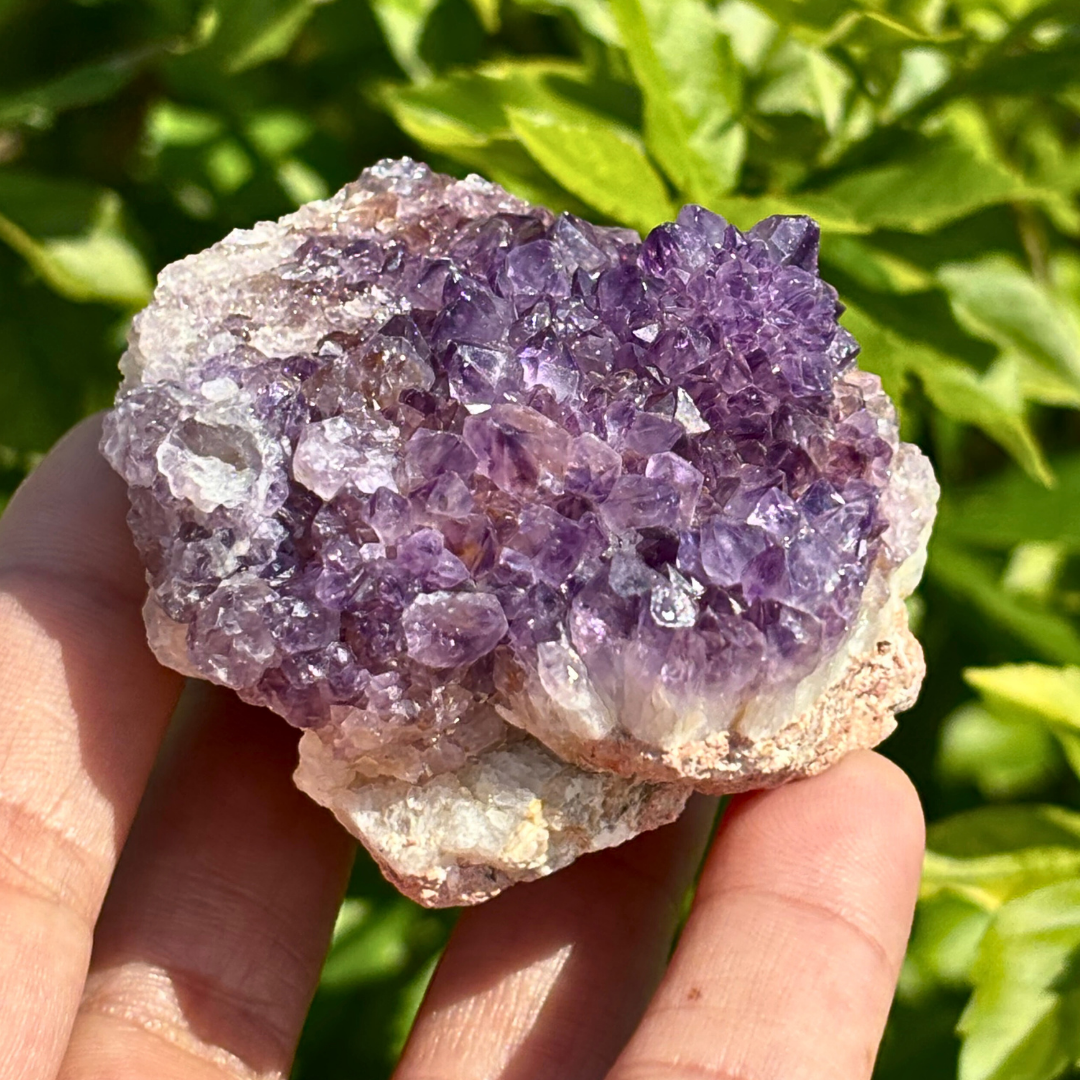 Amethyst Cluster - RSA (A Grade)