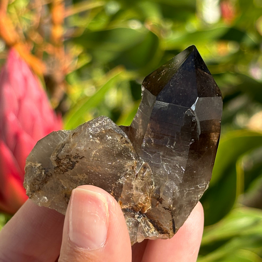 Smoky Quartz Point - A Grade