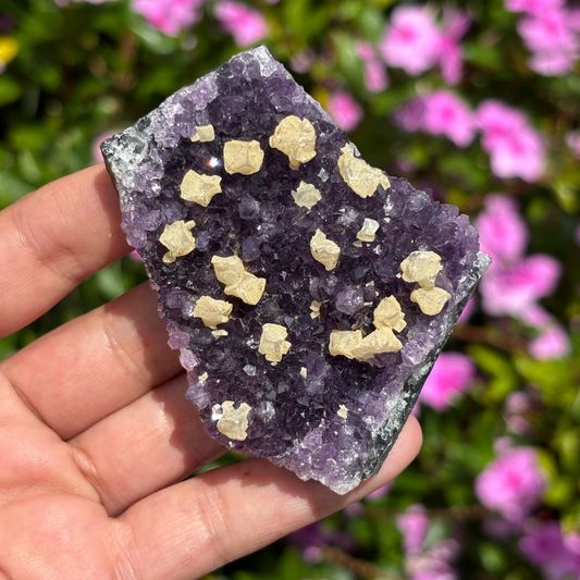 Amethyst Cluster With Yellow Calcite