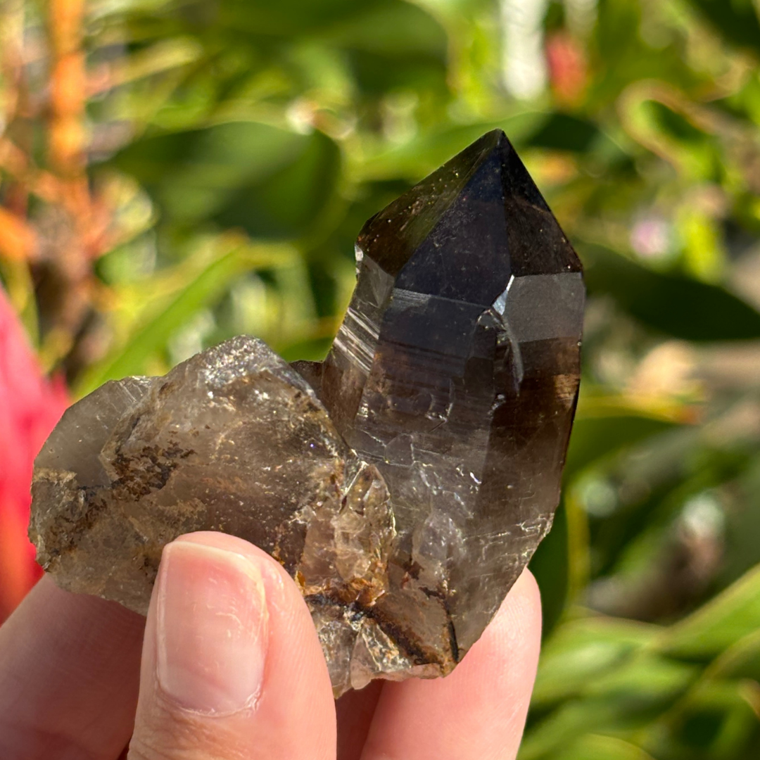 Smoky Quartz Point - A Grade