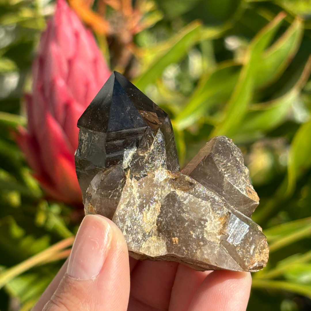 Smoky Quartz Point - A Grade