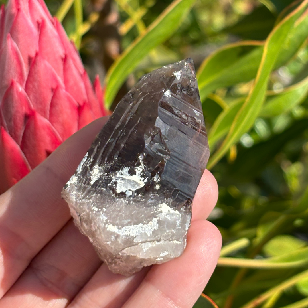 Smoky Quartz Point - A Grade