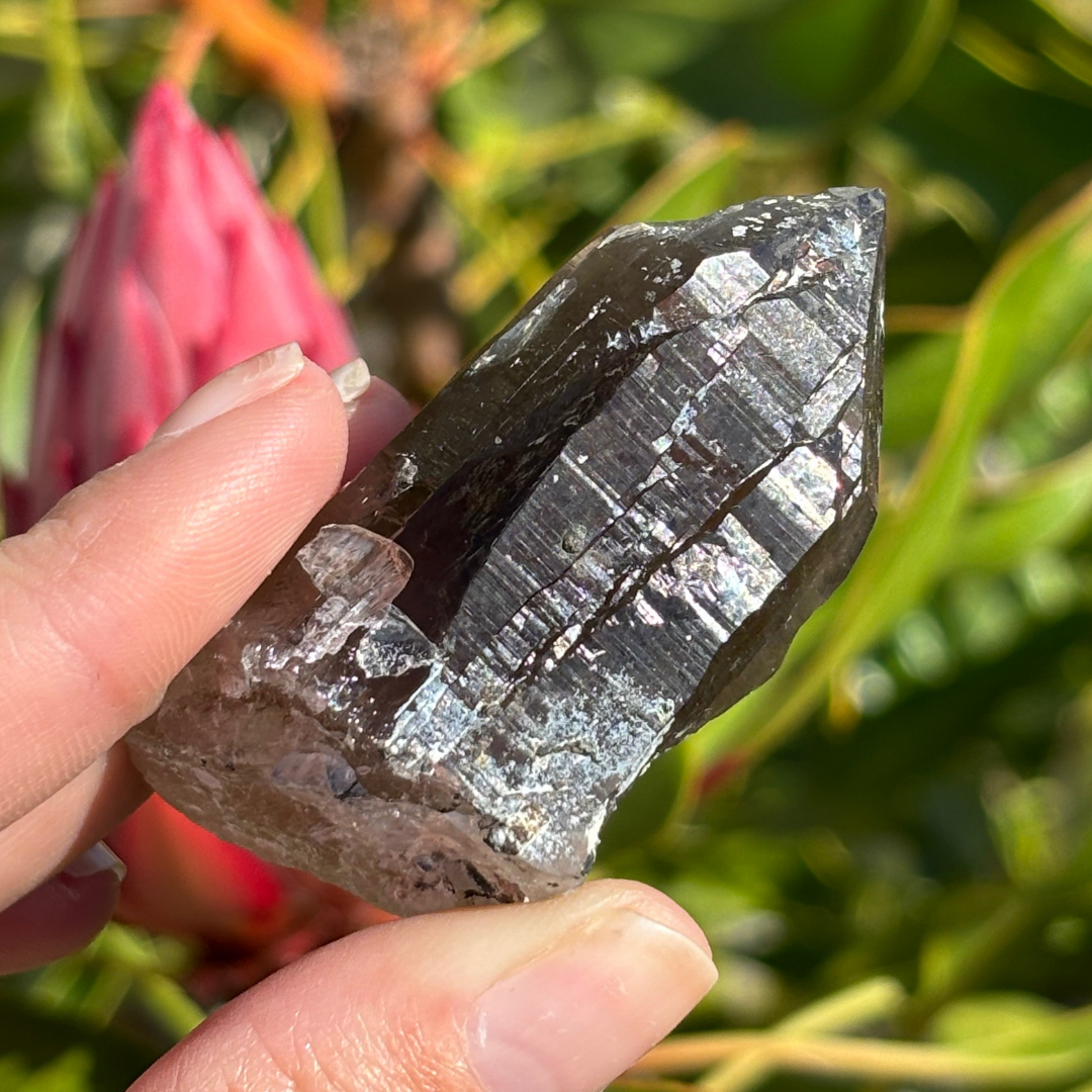 Smoky Quartz Point - A Grade