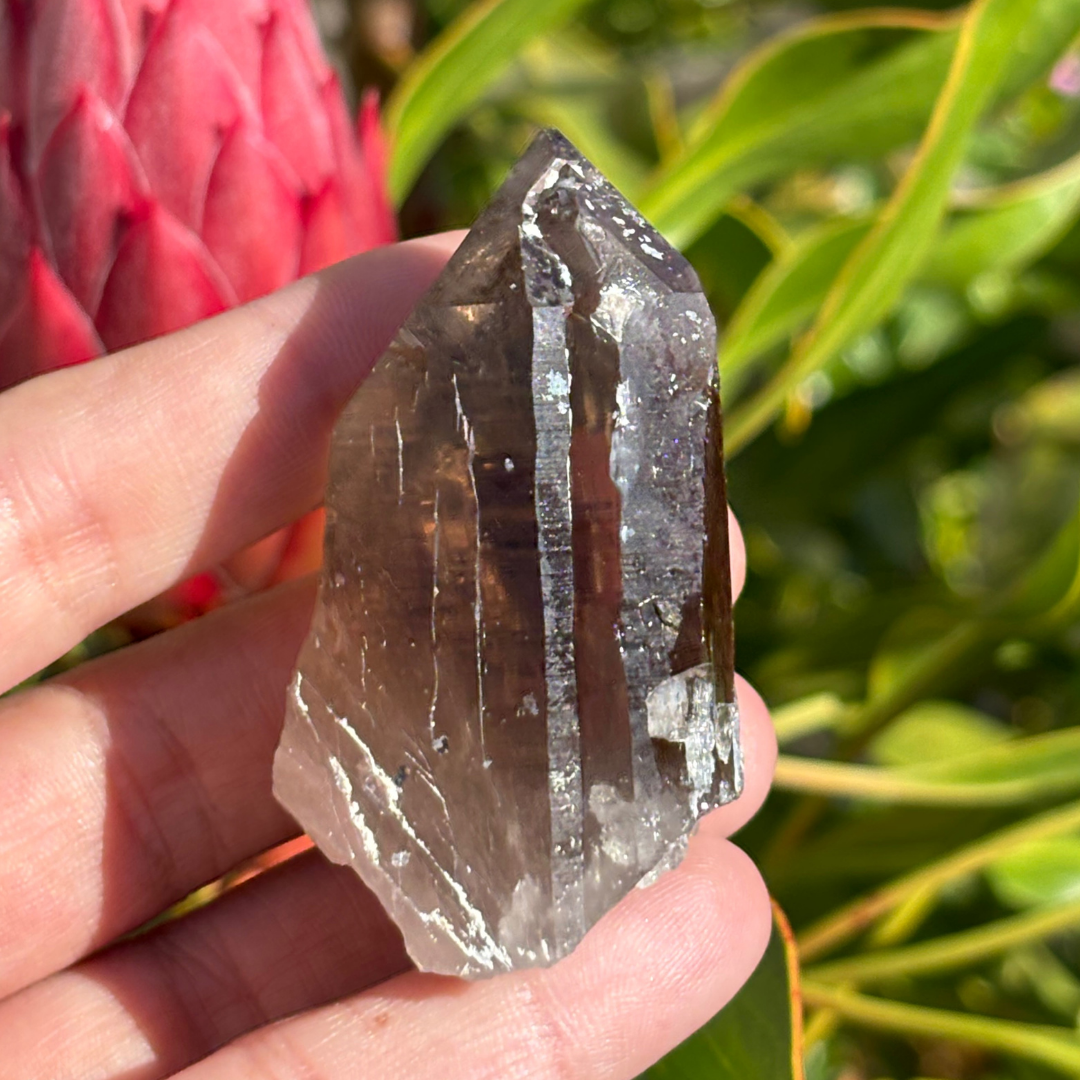 Smoky Quartz Point - A Grade