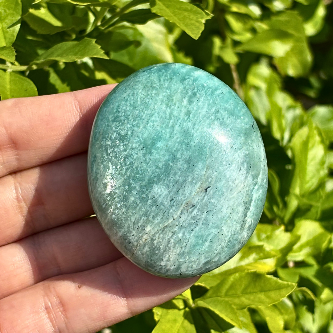 Amazonite Palm Stone