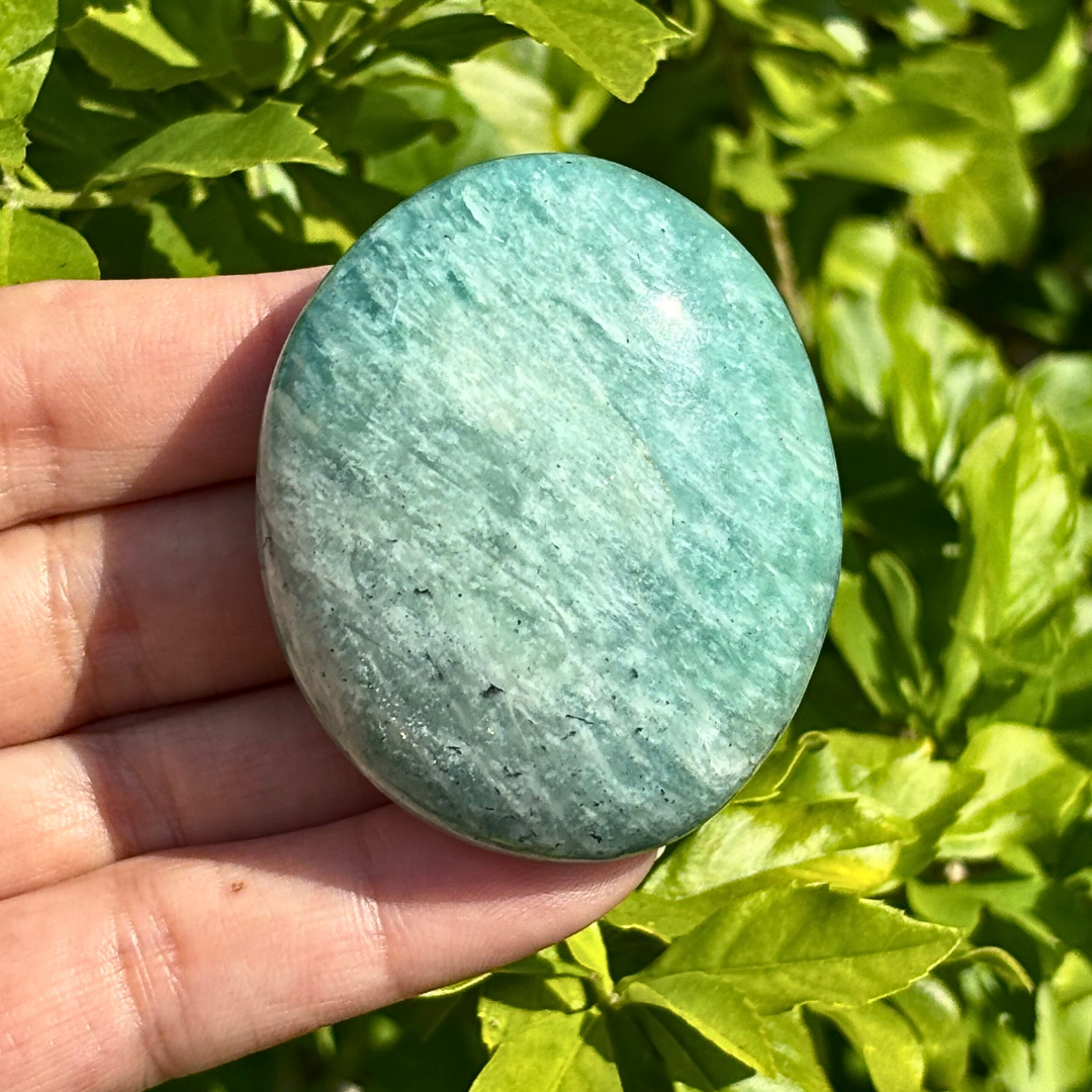 Amazonite Palm Stone