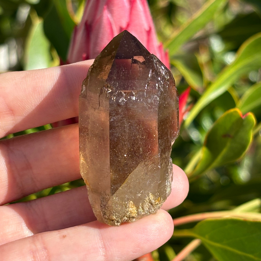 Smoky Quartz Point - A Grade