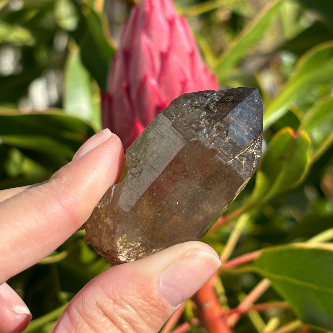 Smoky Quartz Point - A Grade