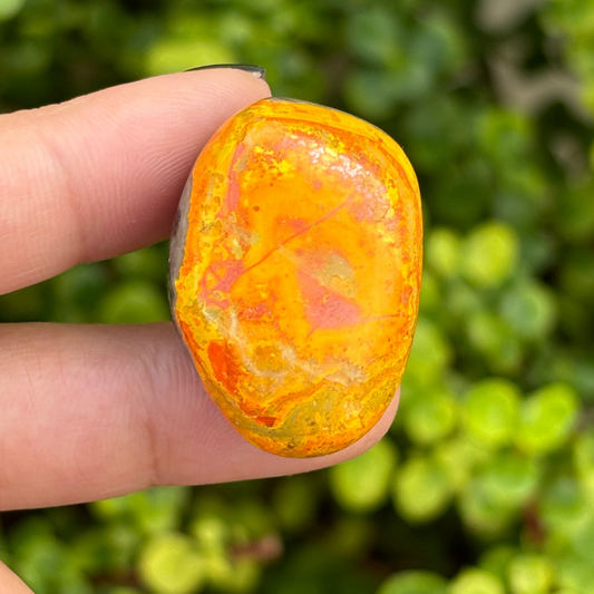 Bumblebee Jasper Polished Stone