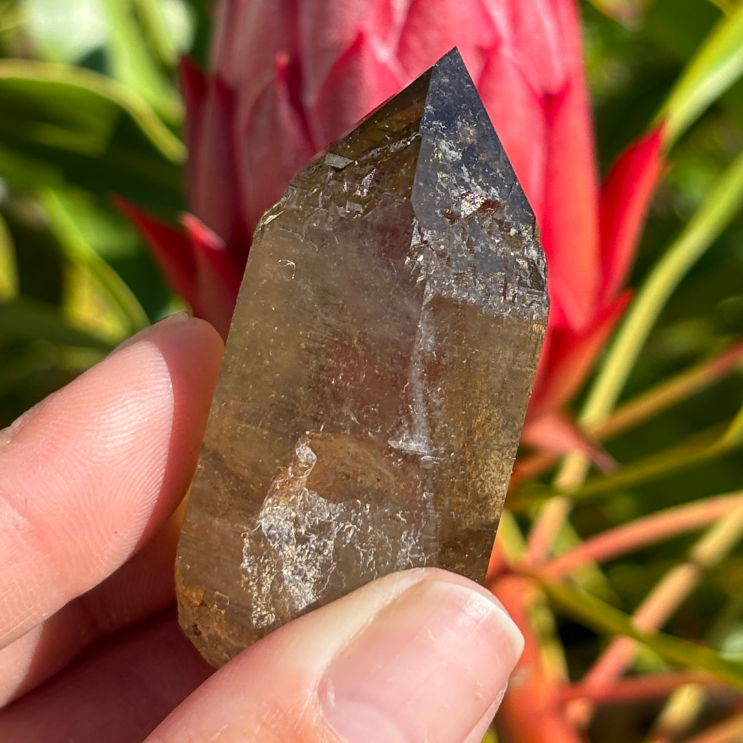 Smoky Quartz Point - A Grade