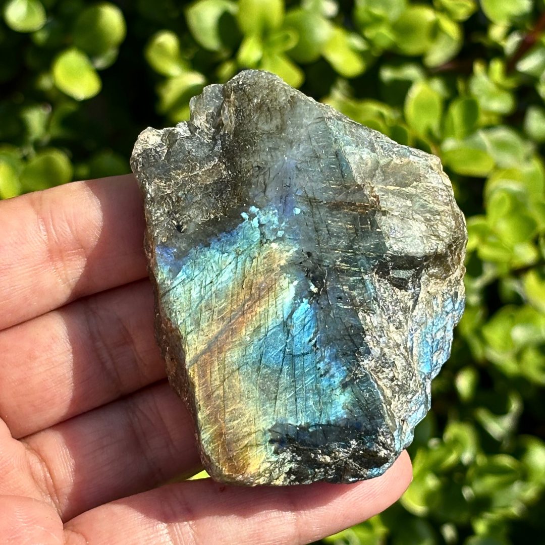 Labradorite Half Polished Specimen