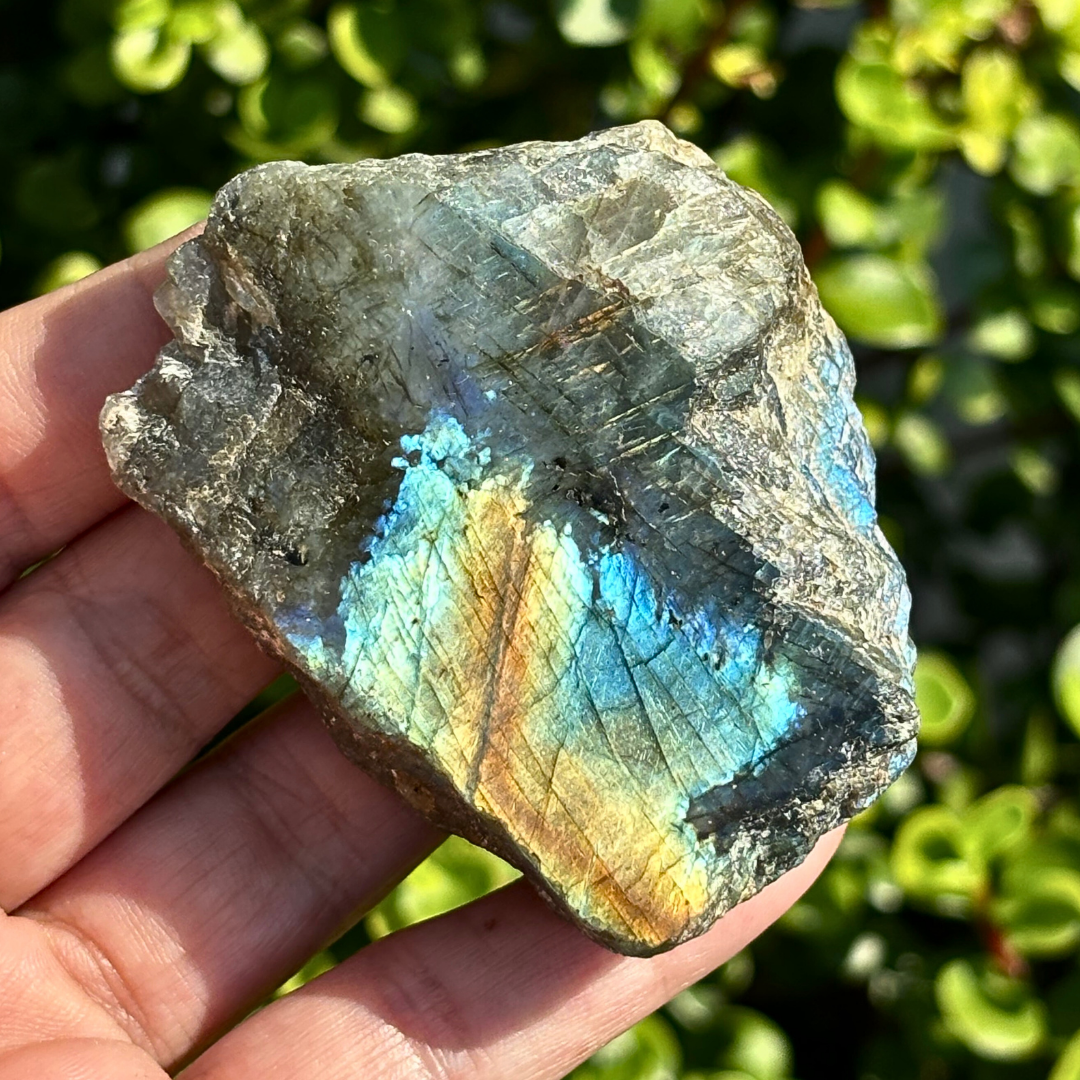 Labradorite Half Polished Specimen