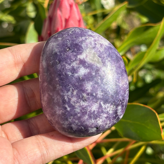 Lepidolite Palm Stone - Large