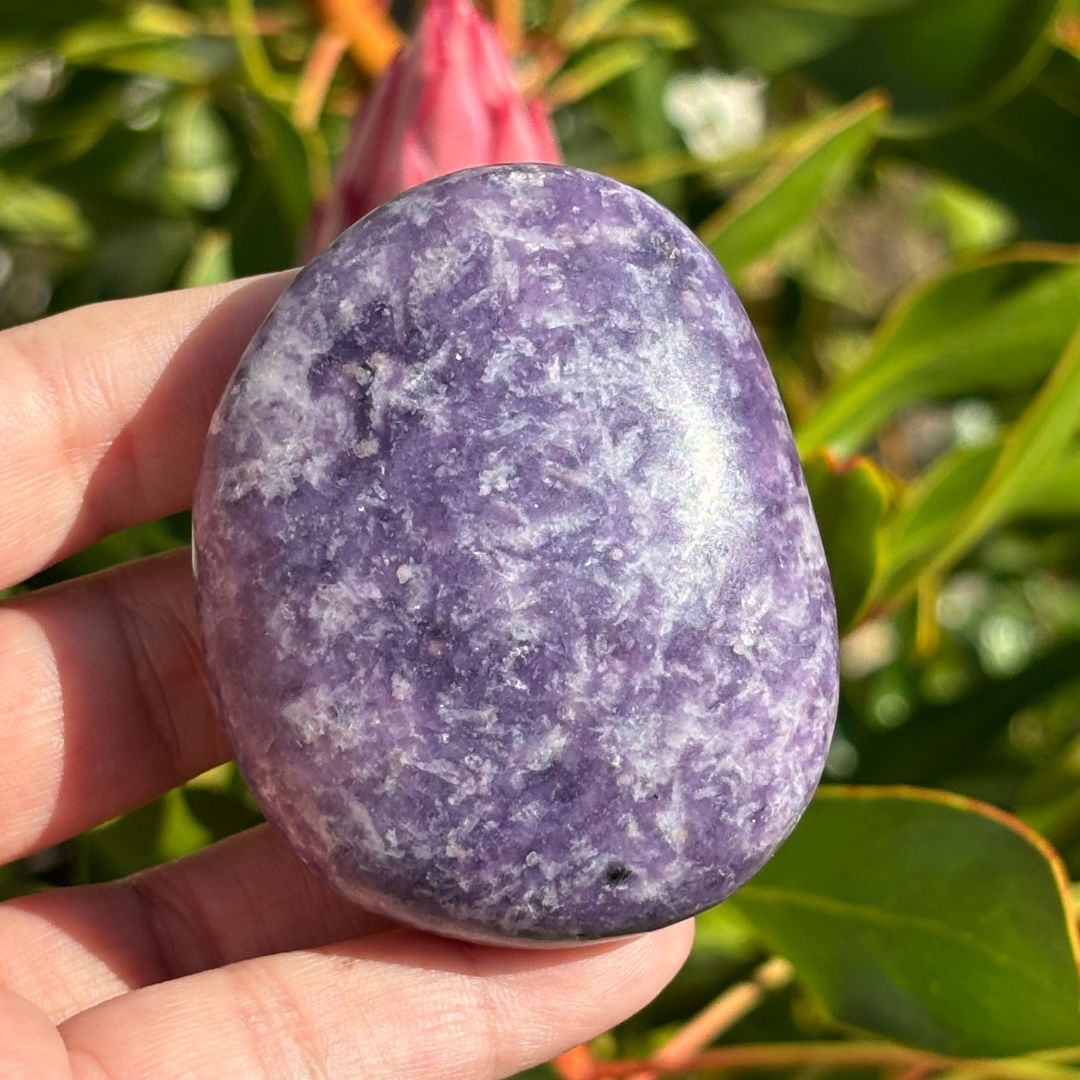 Lepidolite Palm Stone - Large