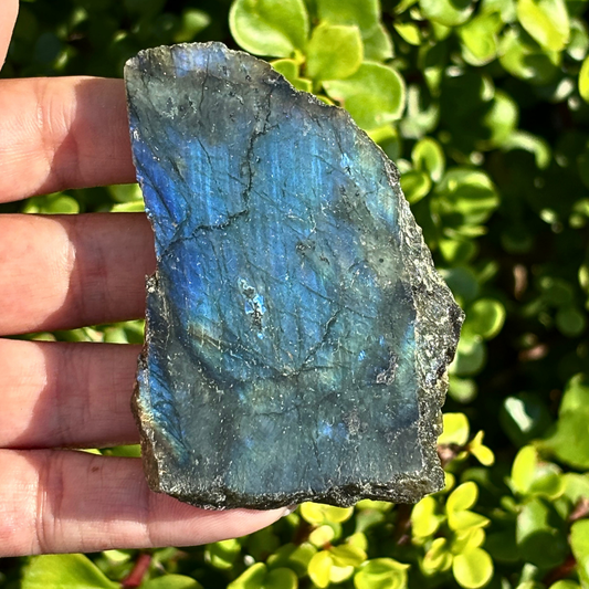 Labradorite Half Polished Specimen